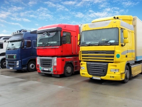 İzmir Borçka Nakliye